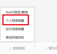 个人网络续费
